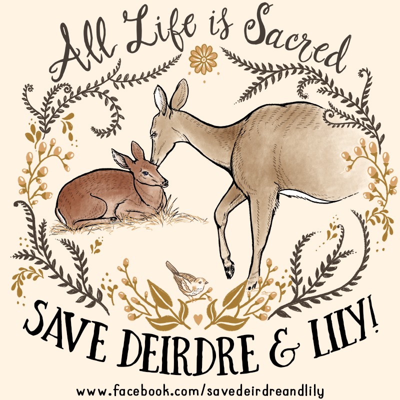 All Life is Sacred - Save Deirdre and Lily